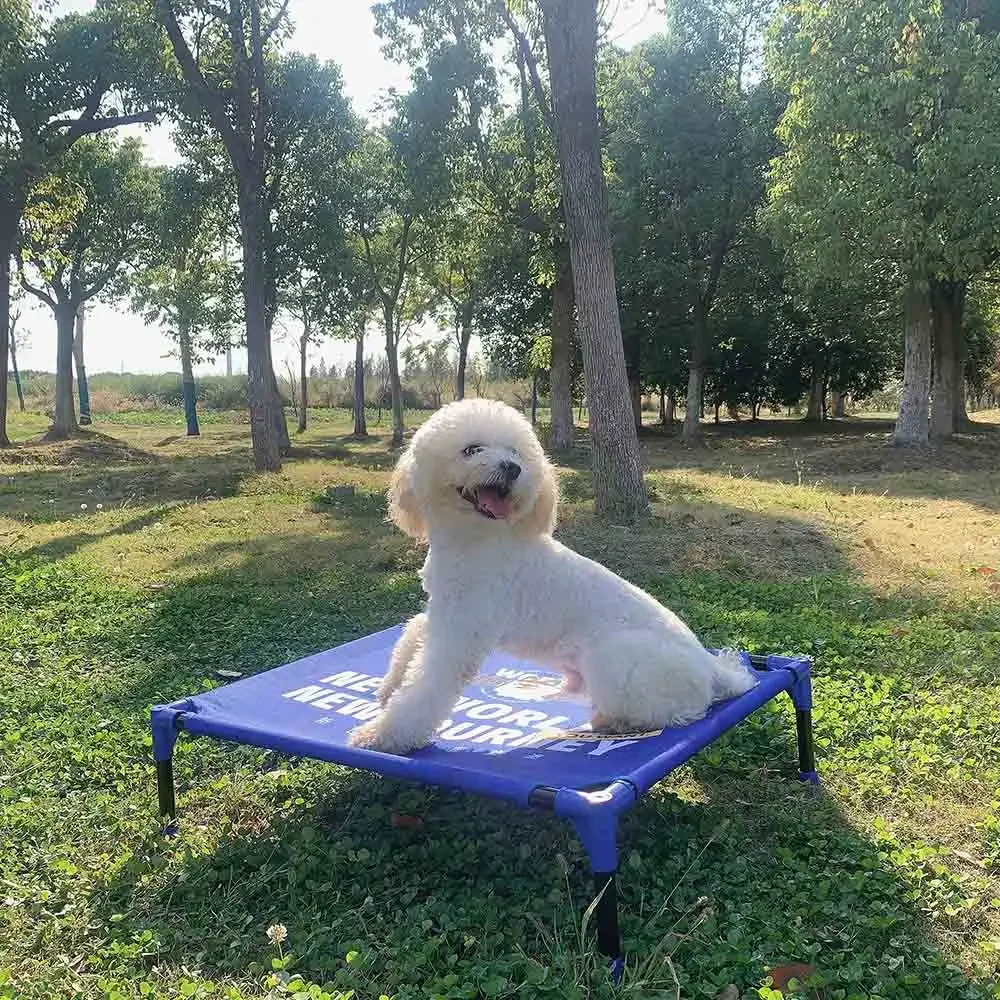 سرير كلاب محمول مرتفع من FULED - مراجعة Outdoor Camping Dog Bed وسعره